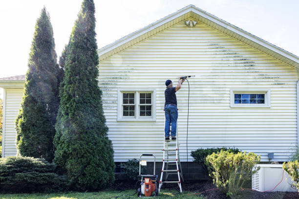 Professional Pressure Washing in Mount Gay Shamrock, WV